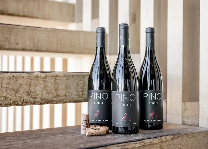 – Alpine . Luxury . Life 5* Sölden